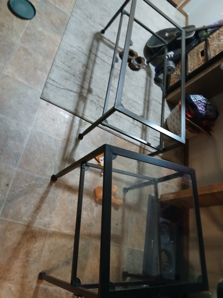 Pair of Glass Top Metal Frame Accent Tables