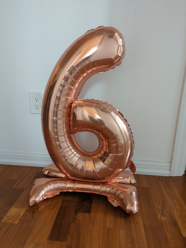 Number 6 birthday decoration