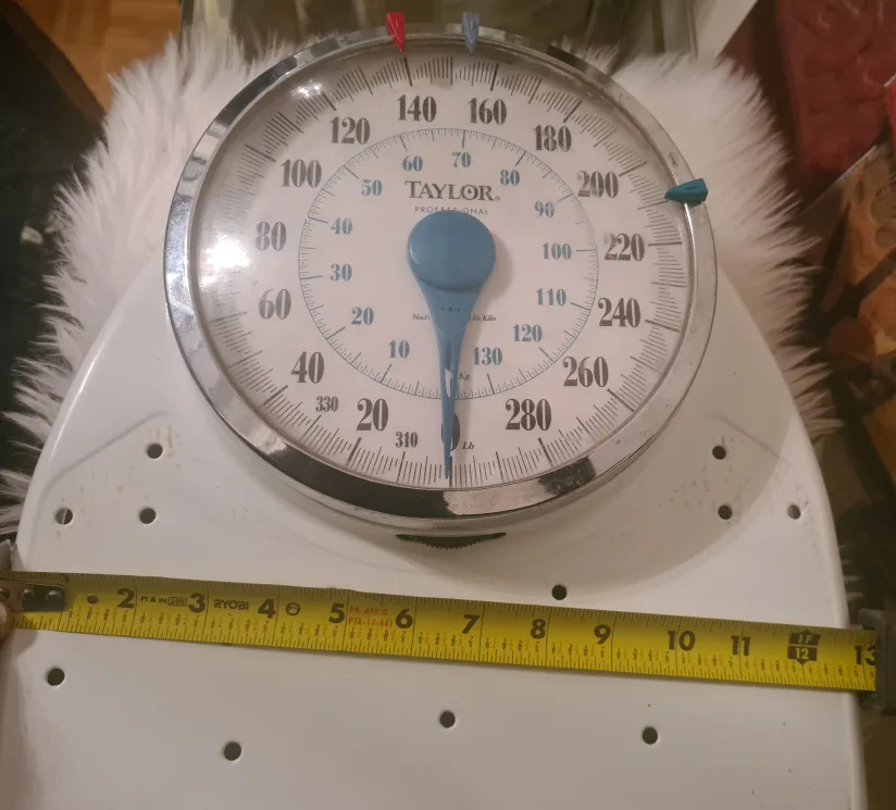 Vintage Taylor Professional Scale image indicator(5)