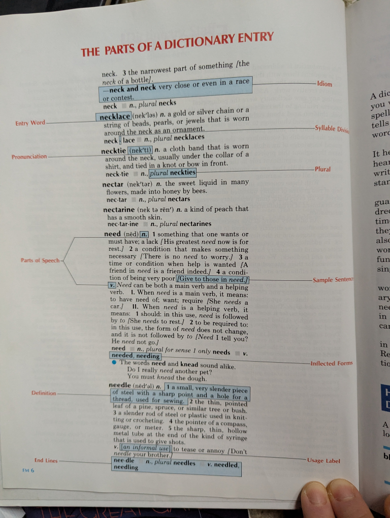 Webster's New World Children's Dictionary - photo 3