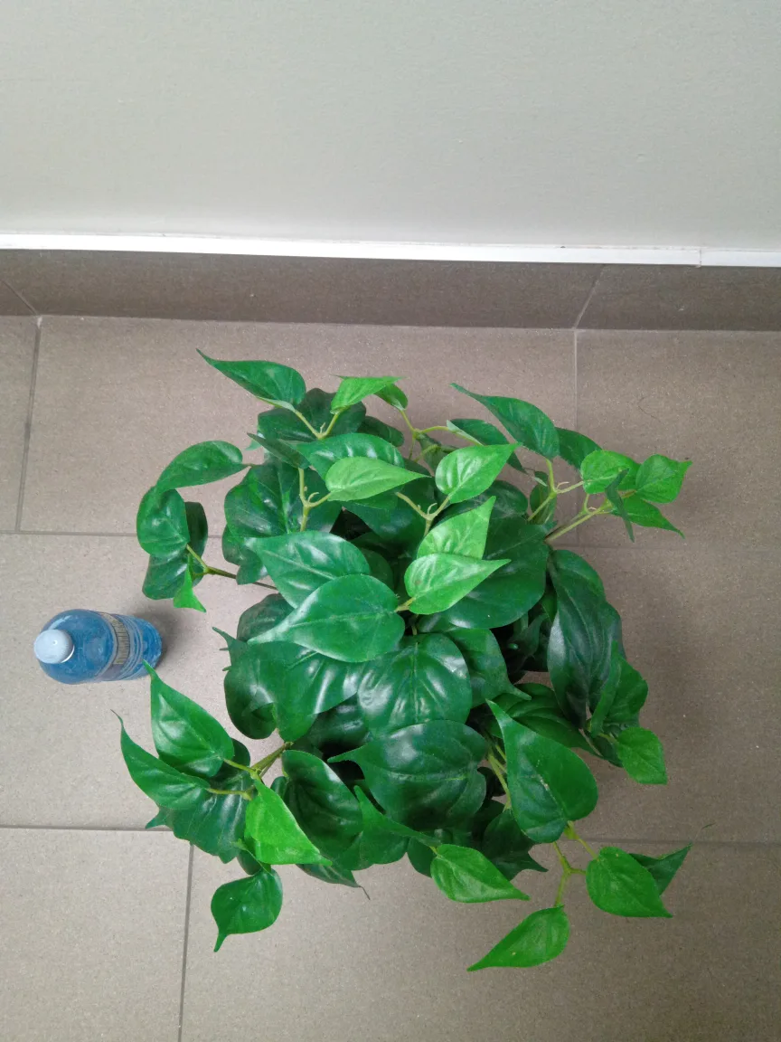 Artificial Green Plant in Pot image indicator(3)