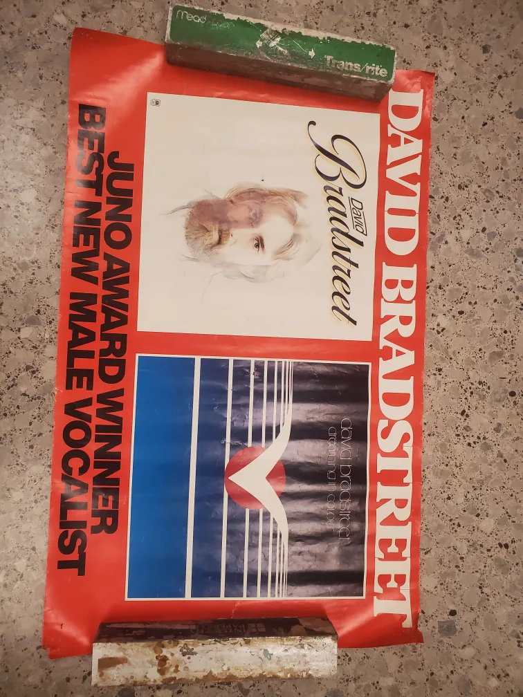 David Bradstreet -'David Bradstreet' '77 Album & Poster Set image indicator(2)