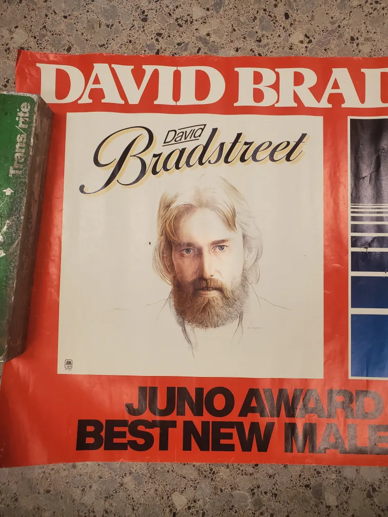 David Bradstreet -'David Bradstreet' '77 Album & Poster Set image indicator(4)
