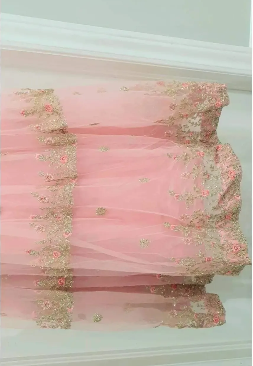 Beautiful Pink Embroidered Gown image indicator(2)