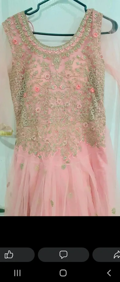 Beautiful Pink Embroidered Gown image indicator(3)