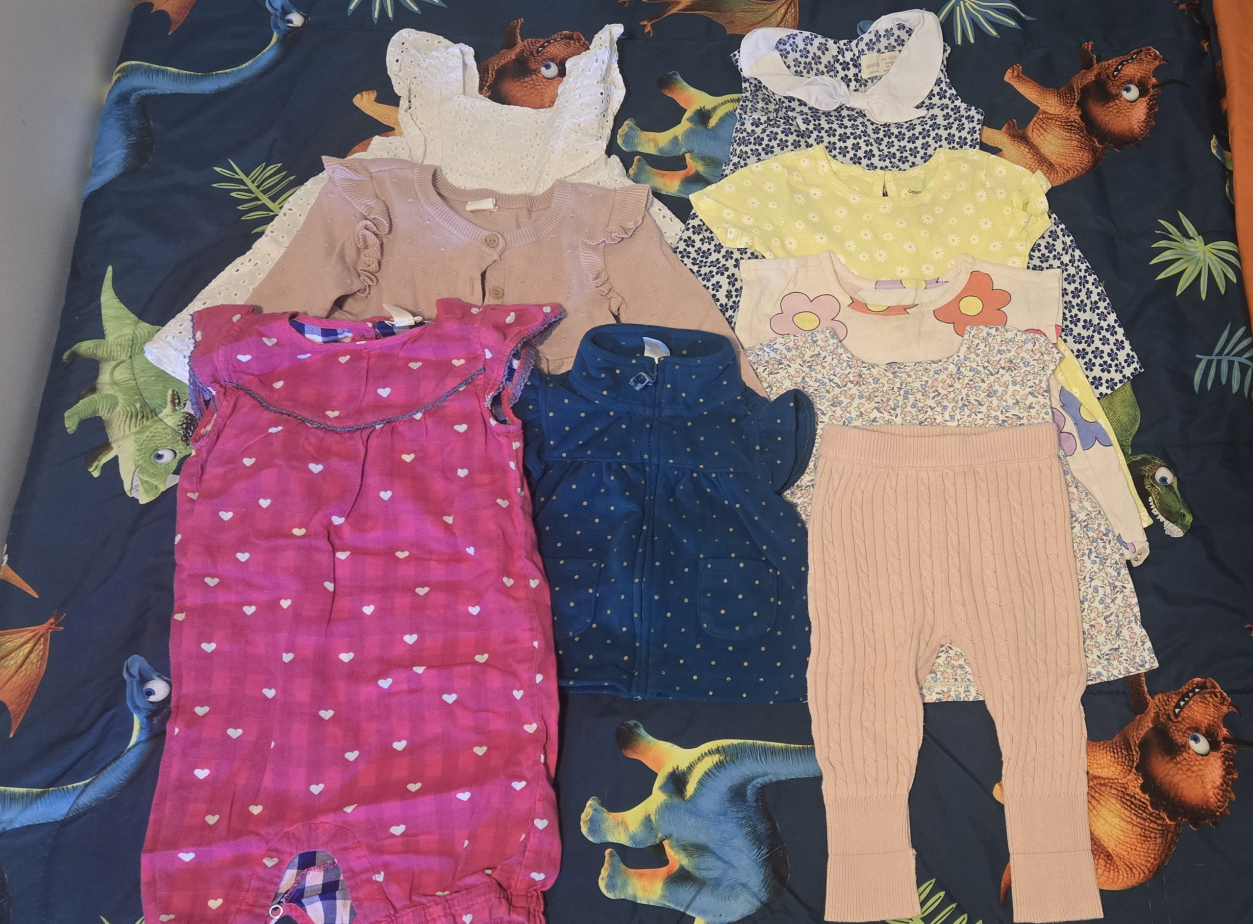 Baby Girl Clothes Bundle - Size 6-12 Months