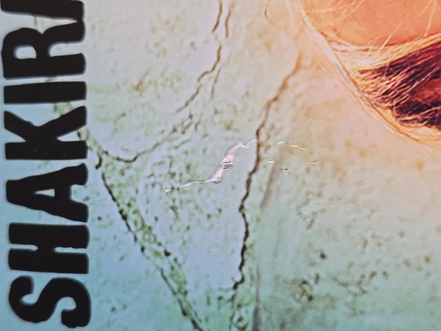 Shakira - She Wolf - Teal Coloured Vinyl LP image indicator(6)