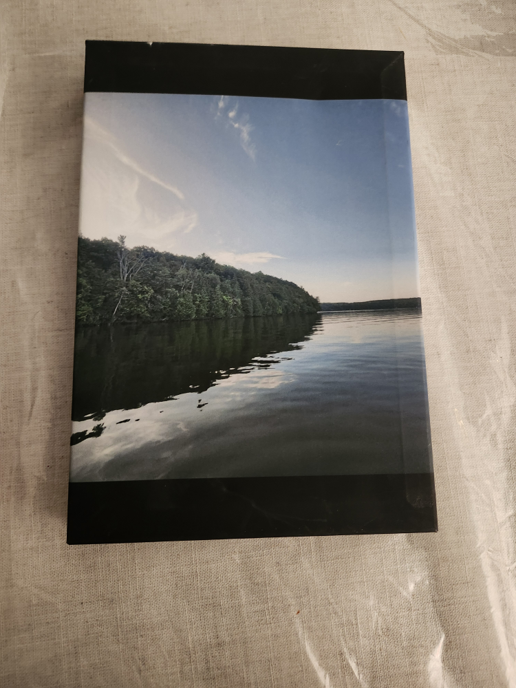 Canvas Print - Lake Landscape