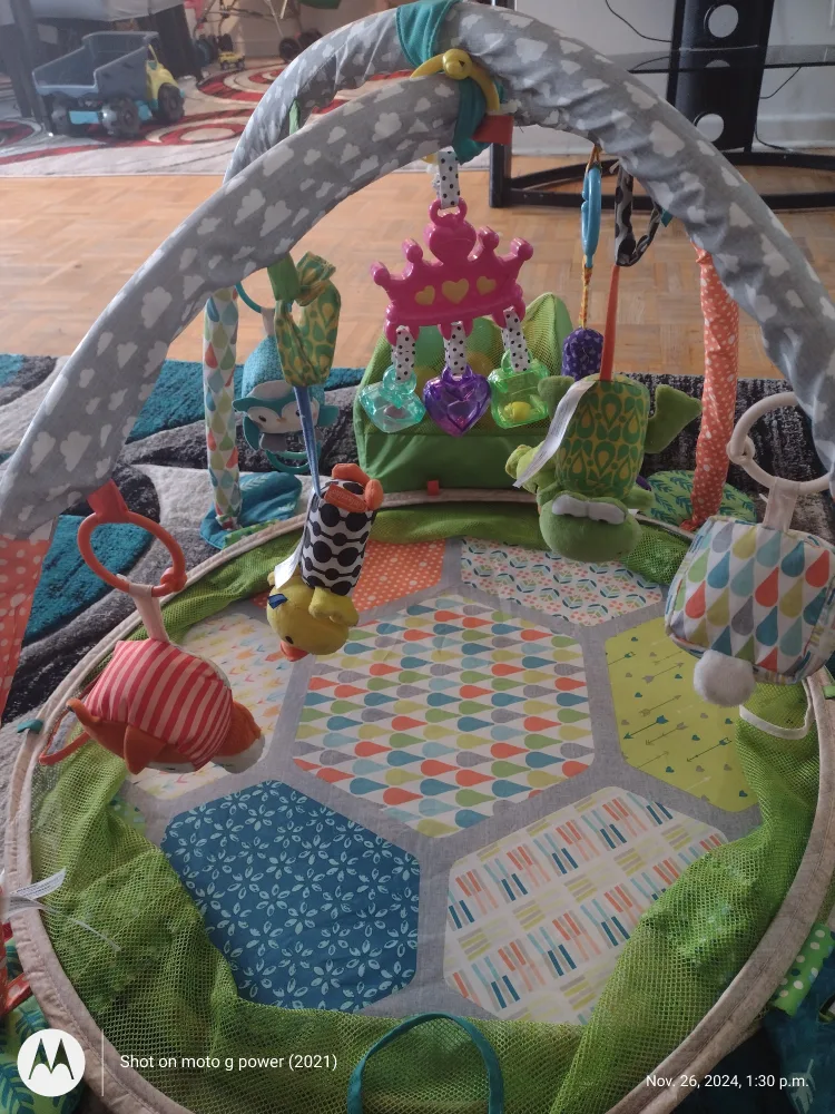 Infant Play Gym with Balls image indicator(2)