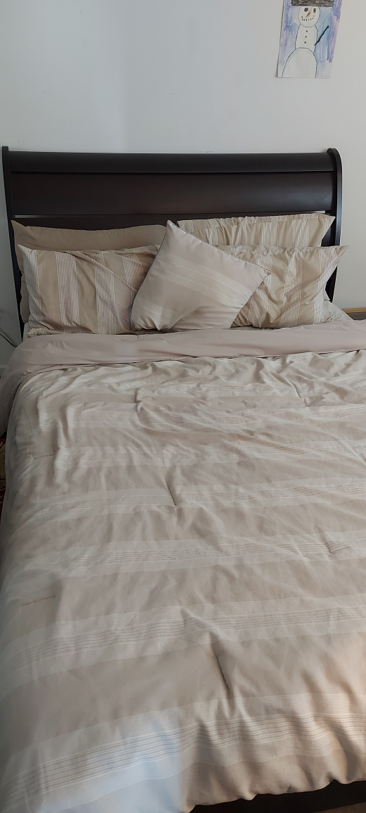 Queen Sleigh Bed Frame