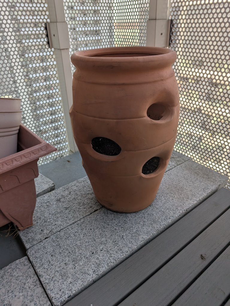 ICM Herb Succulent and Strawberry Clay Planter