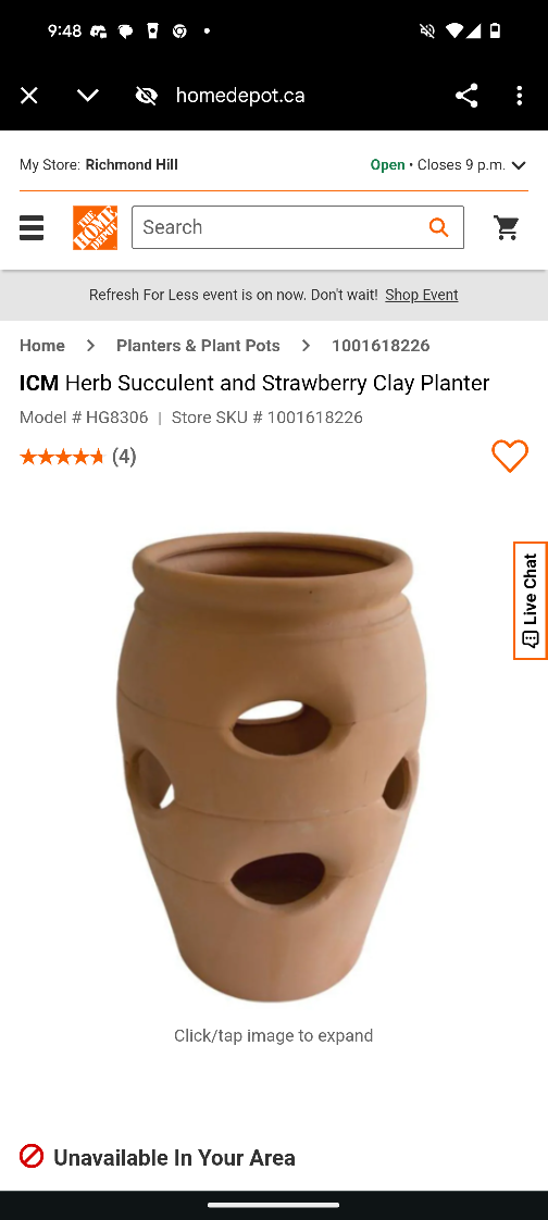 ICM Herb Succulent and Strawberry Clay Planter - photo 2