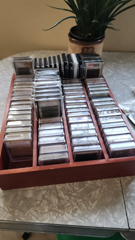 Bulk Eyelash Extensions & Supplies