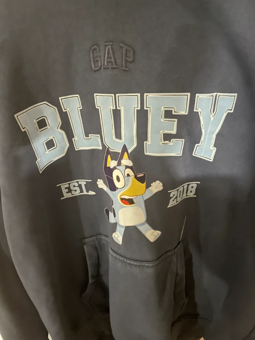 GAP Bluey Hoodie image indicator(2)