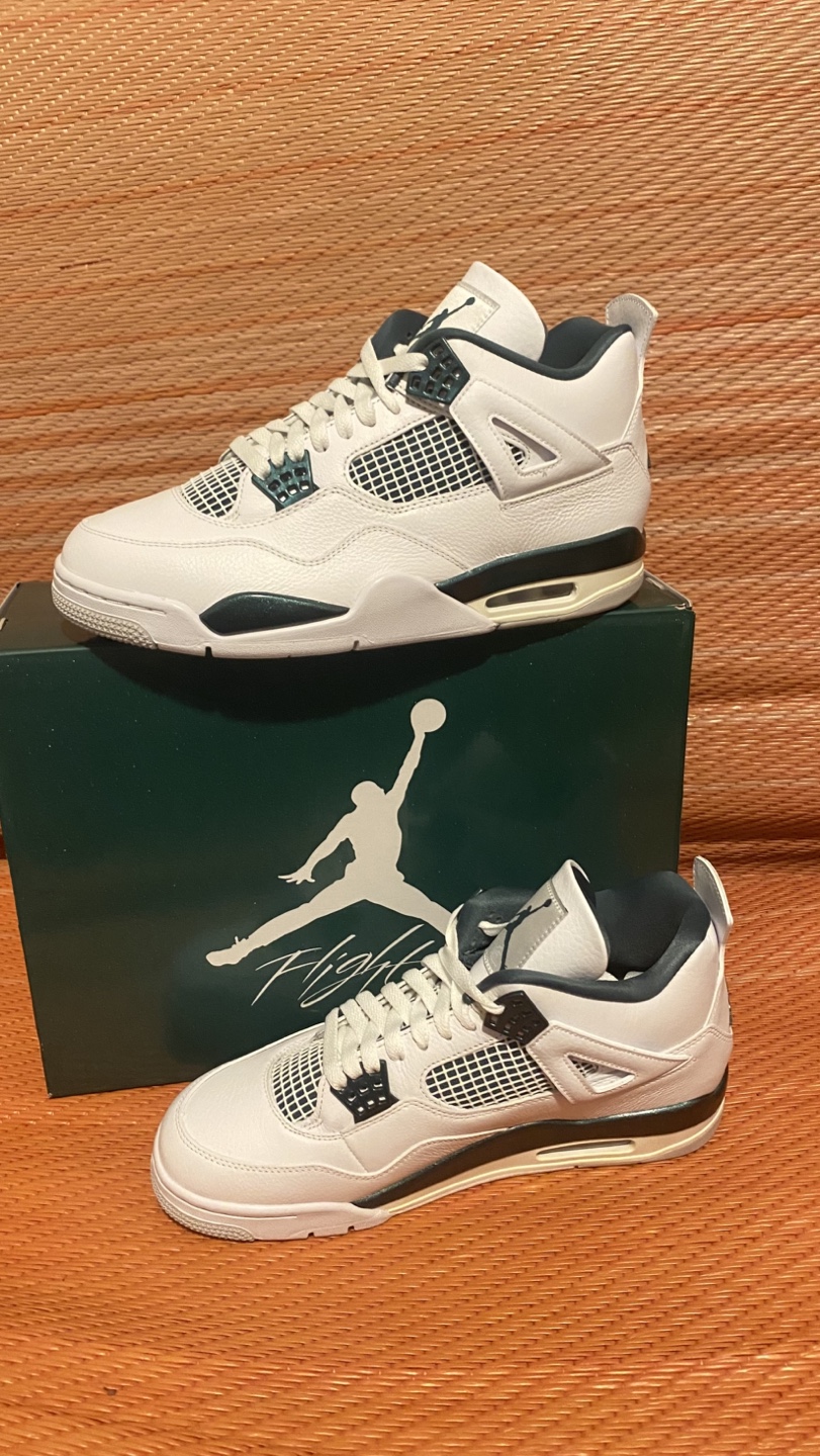 Nike Jordan 4 Retro Oxidized Green Size 10