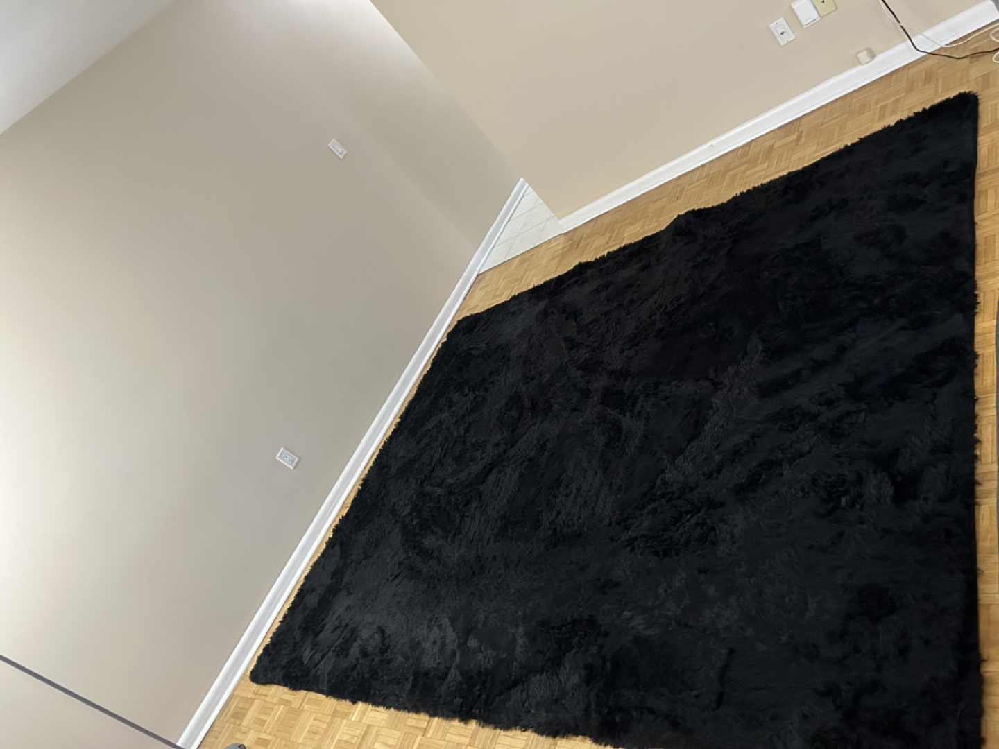 Black Ultra Soft Fluffy Area Rug - photo 3