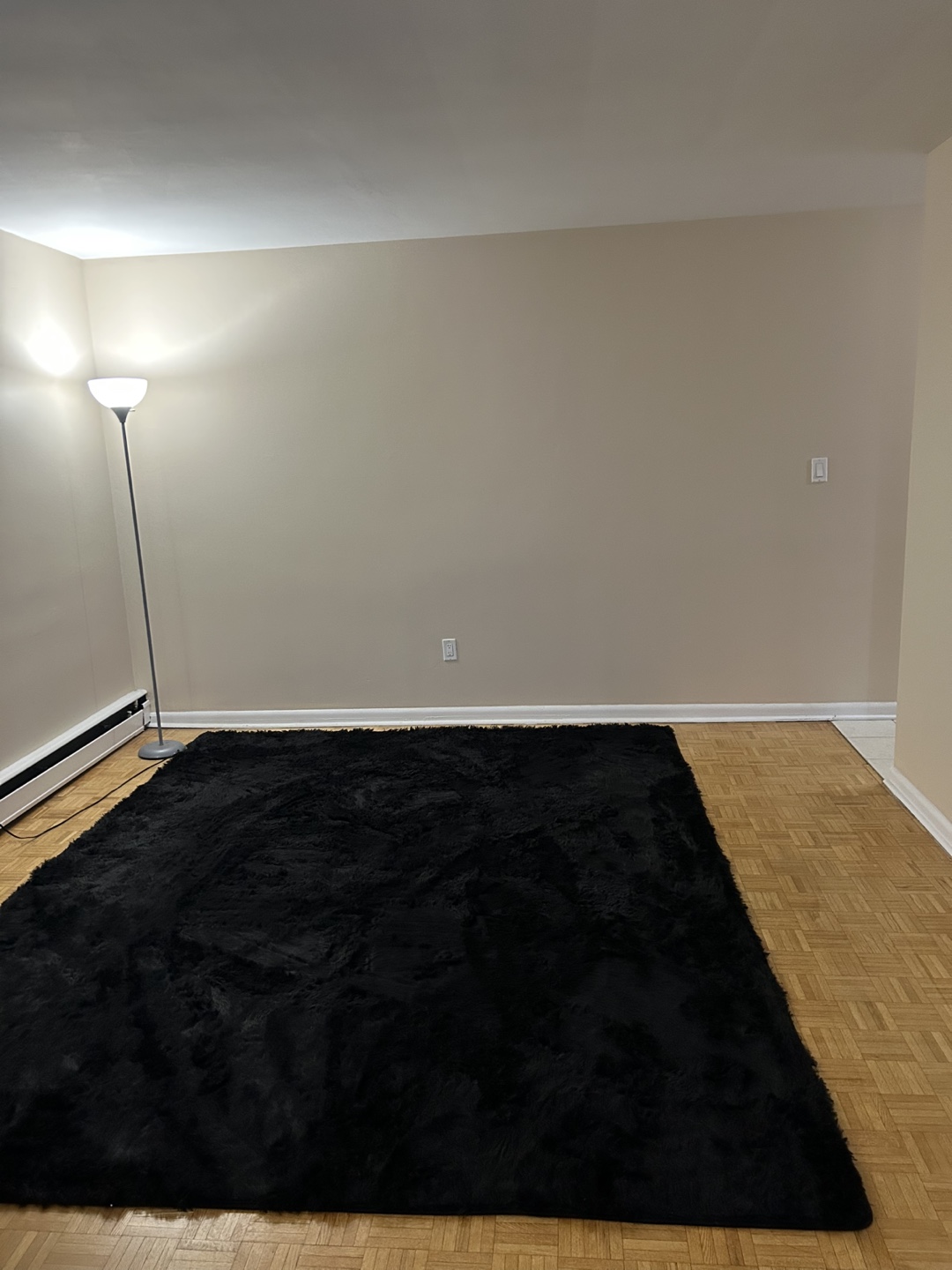 Black Ultra Soft Fluffy Area Rug