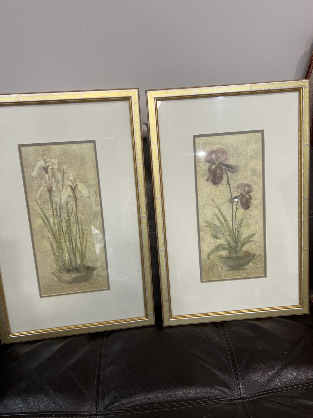Pair of Framed Iris Printsg