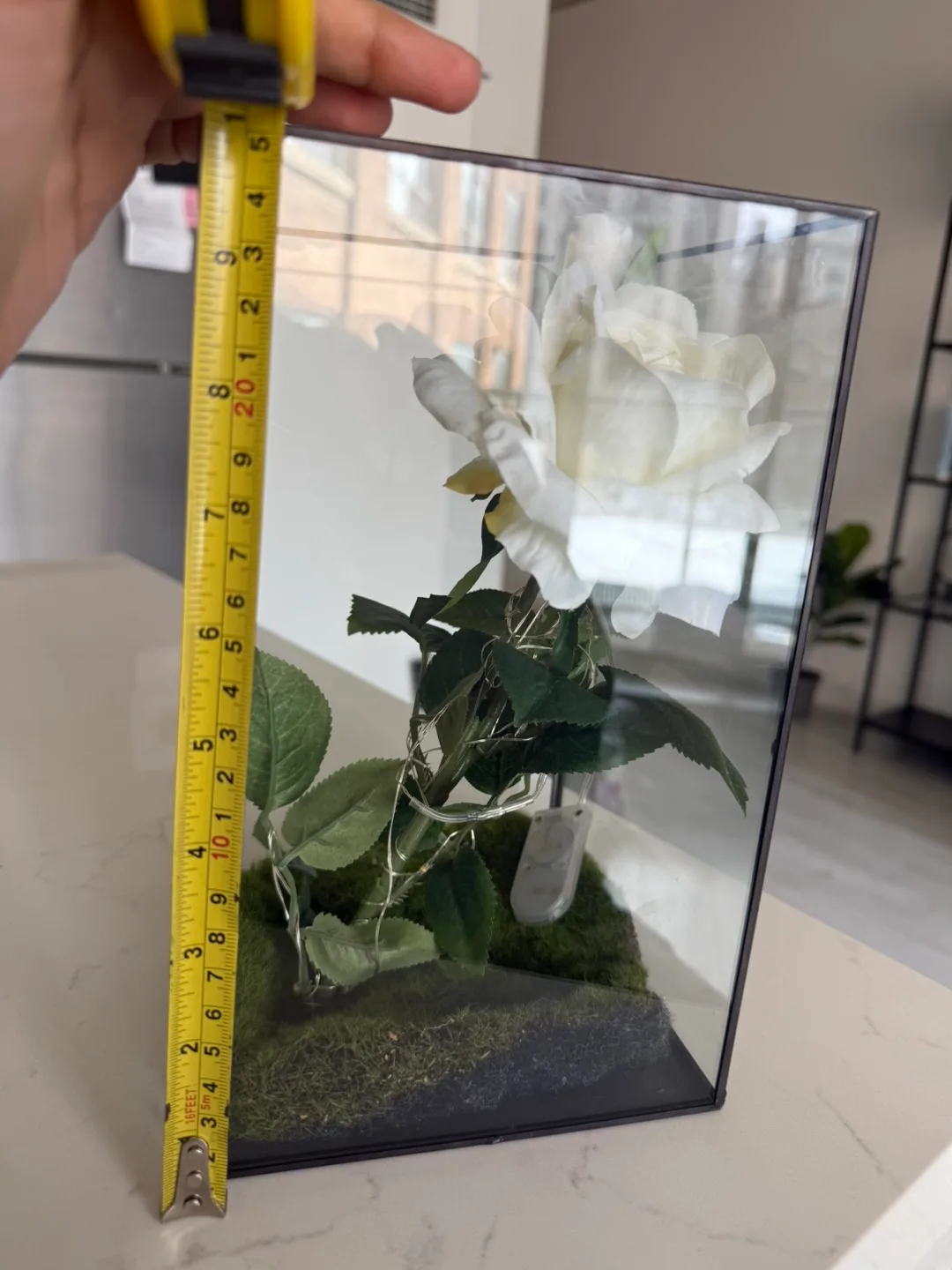 Enchanted Rose in Glass Terrarium with Lights image indicator(2)