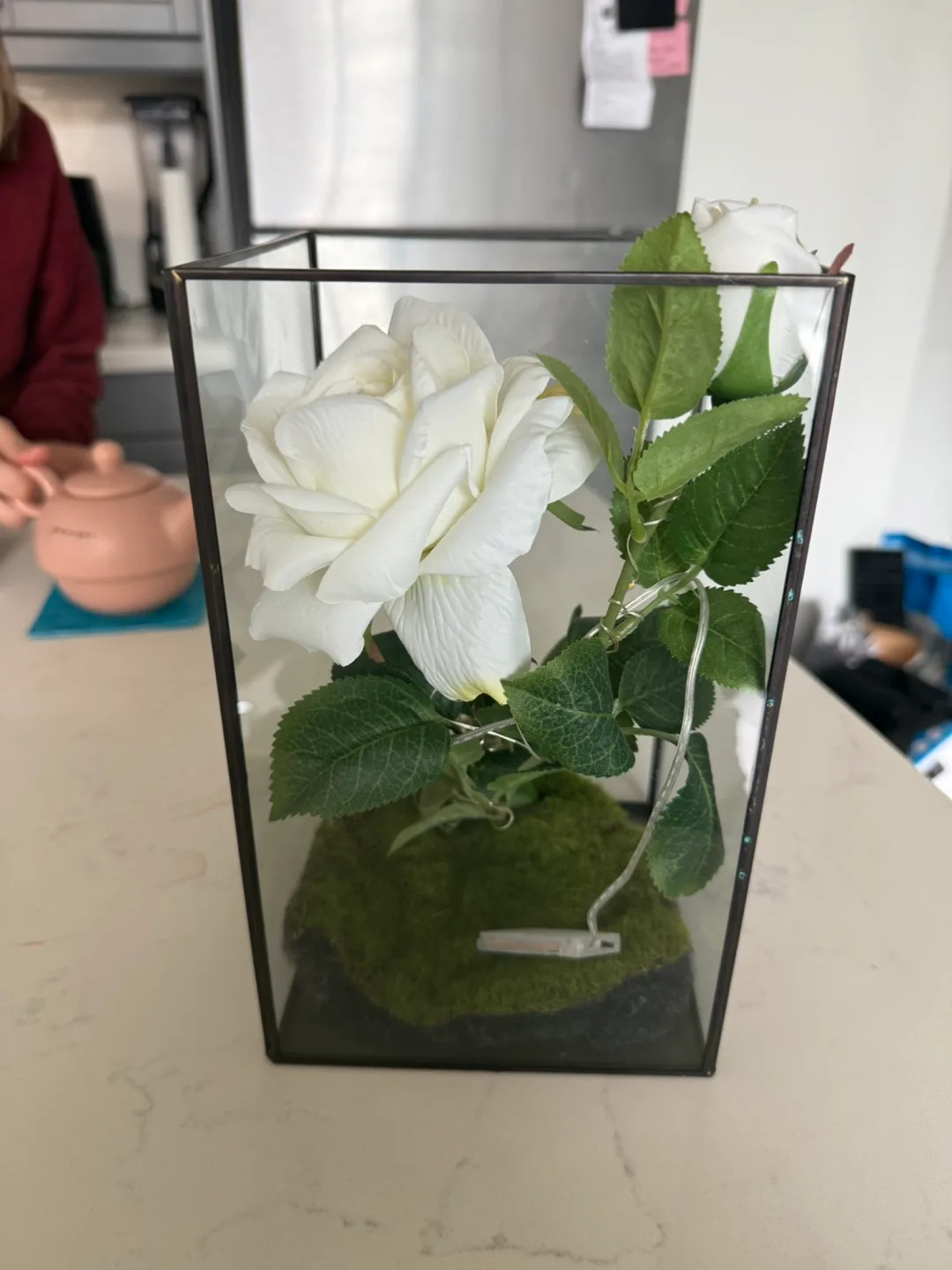 Enchanted Rose in Glass Terrarium with Lights image indicator(3)