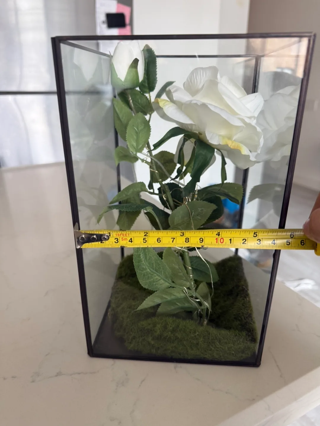 Enchanted Rose in Glass Terrarium with Lights image indicator(4)