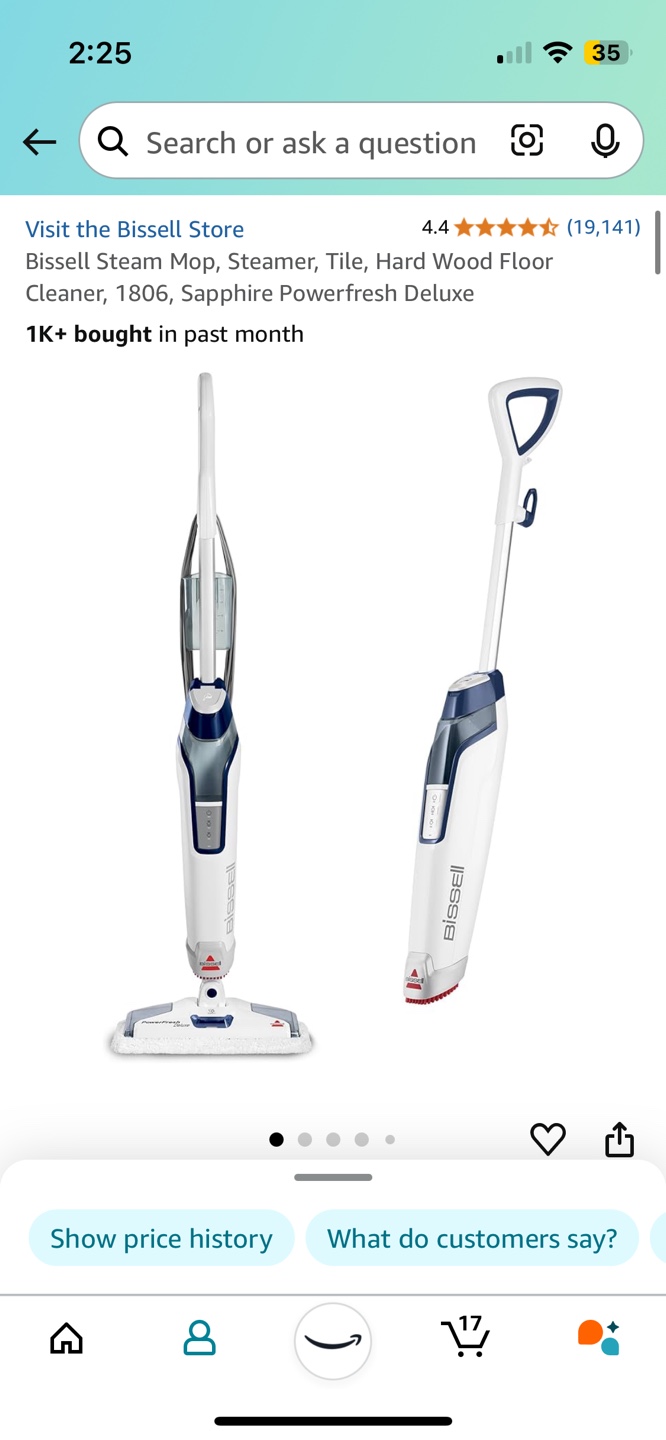 Bissell Powerfresh Deluxe Steam Mop