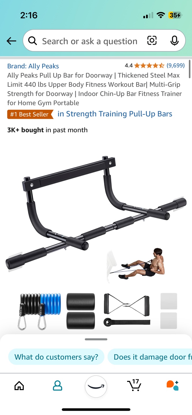 Ally Peaks Doorway Pull Up Bar