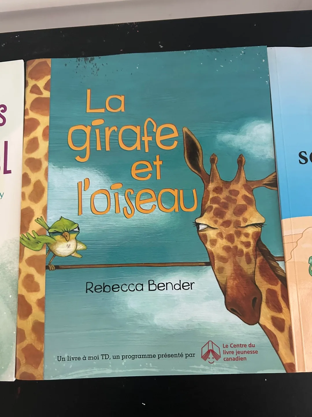 Bundle of 10 Children's Bilingual French Books image indicator(2)