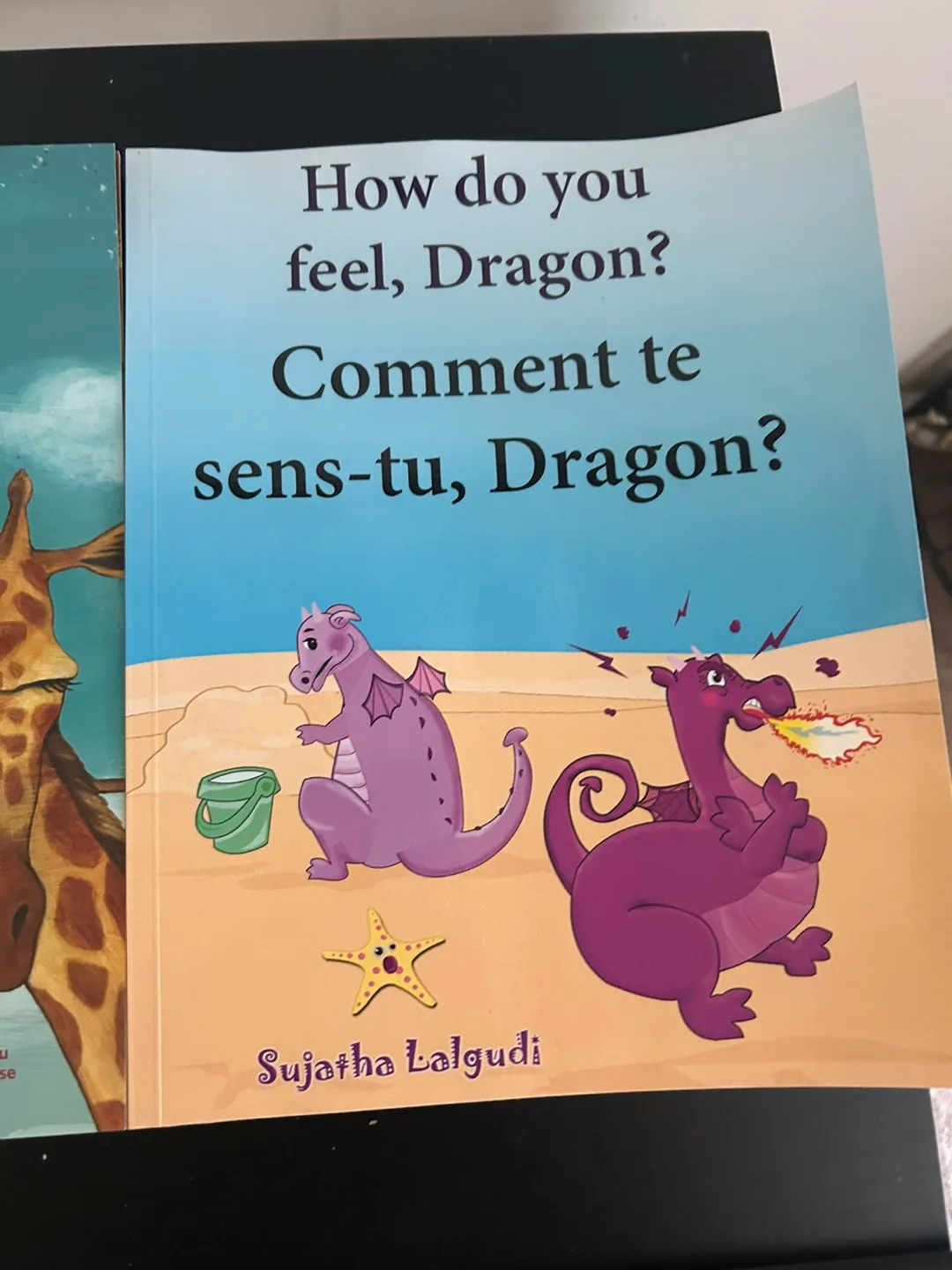 Bundle of 10 Children's Bilingual French Books image indicator(4)