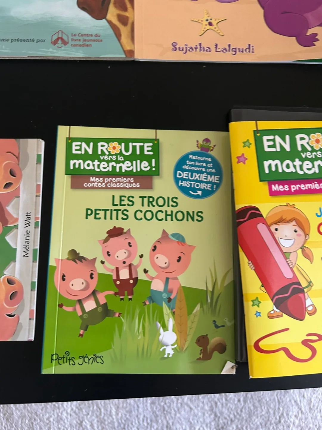 Bundle of 10 Children's Bilingual French Books image indicator(6)