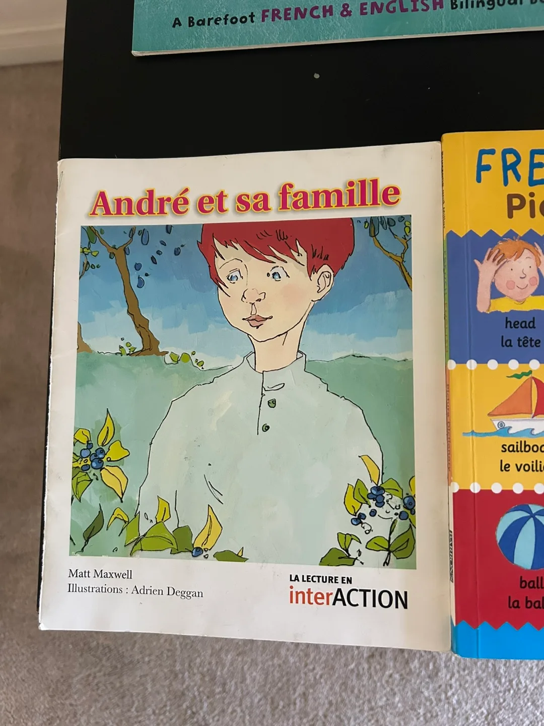 Bundle of 10 Children's Bilingual French Books image indicator(10)