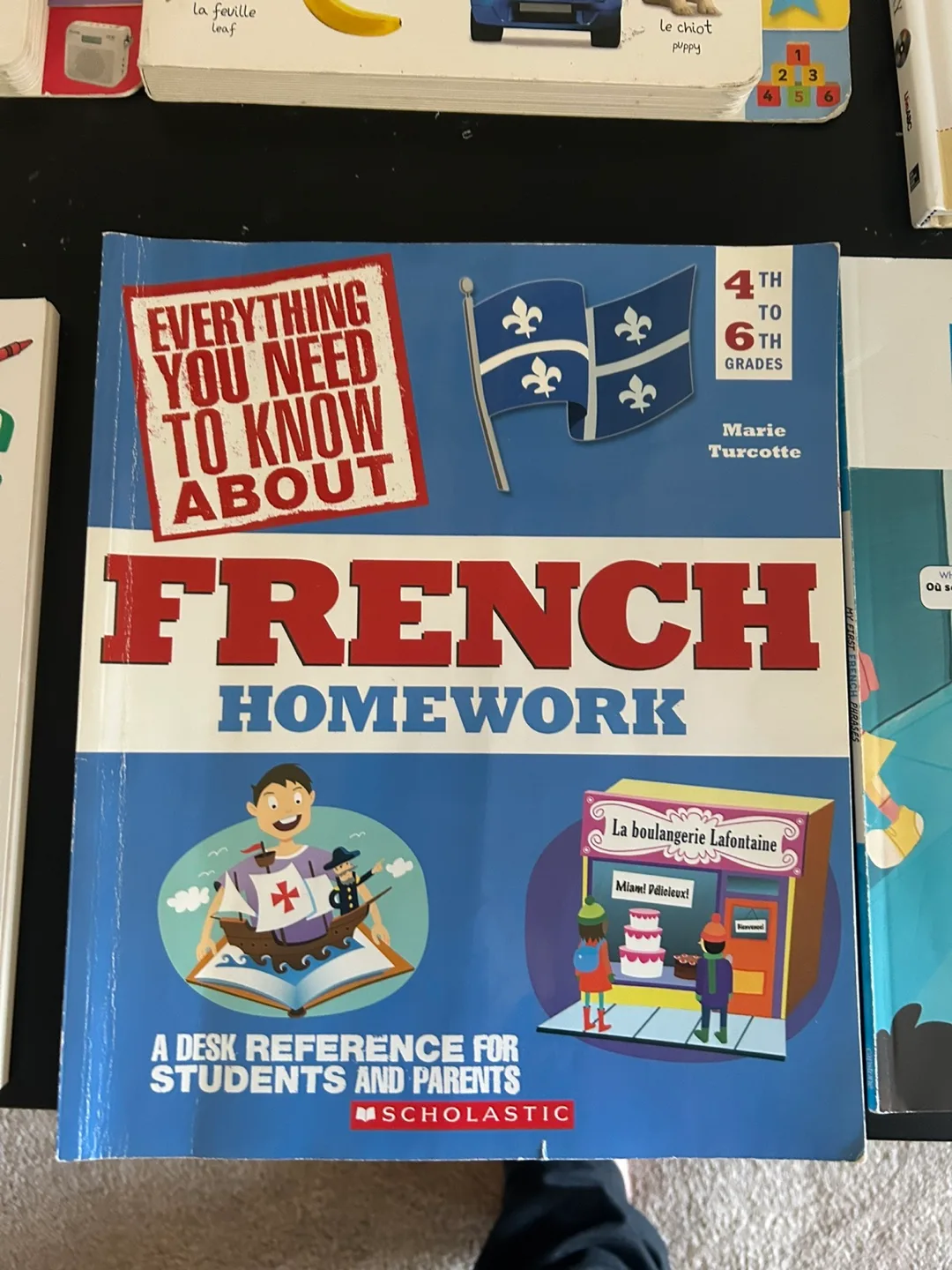French Language Learning Book Bundle (10 Books) image indicator(8)