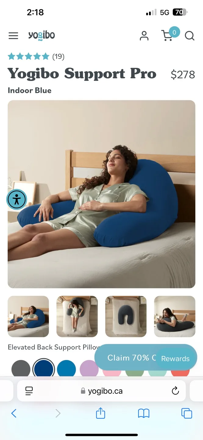 Bean Bag Pillow (Yogibo Support) thumbnail