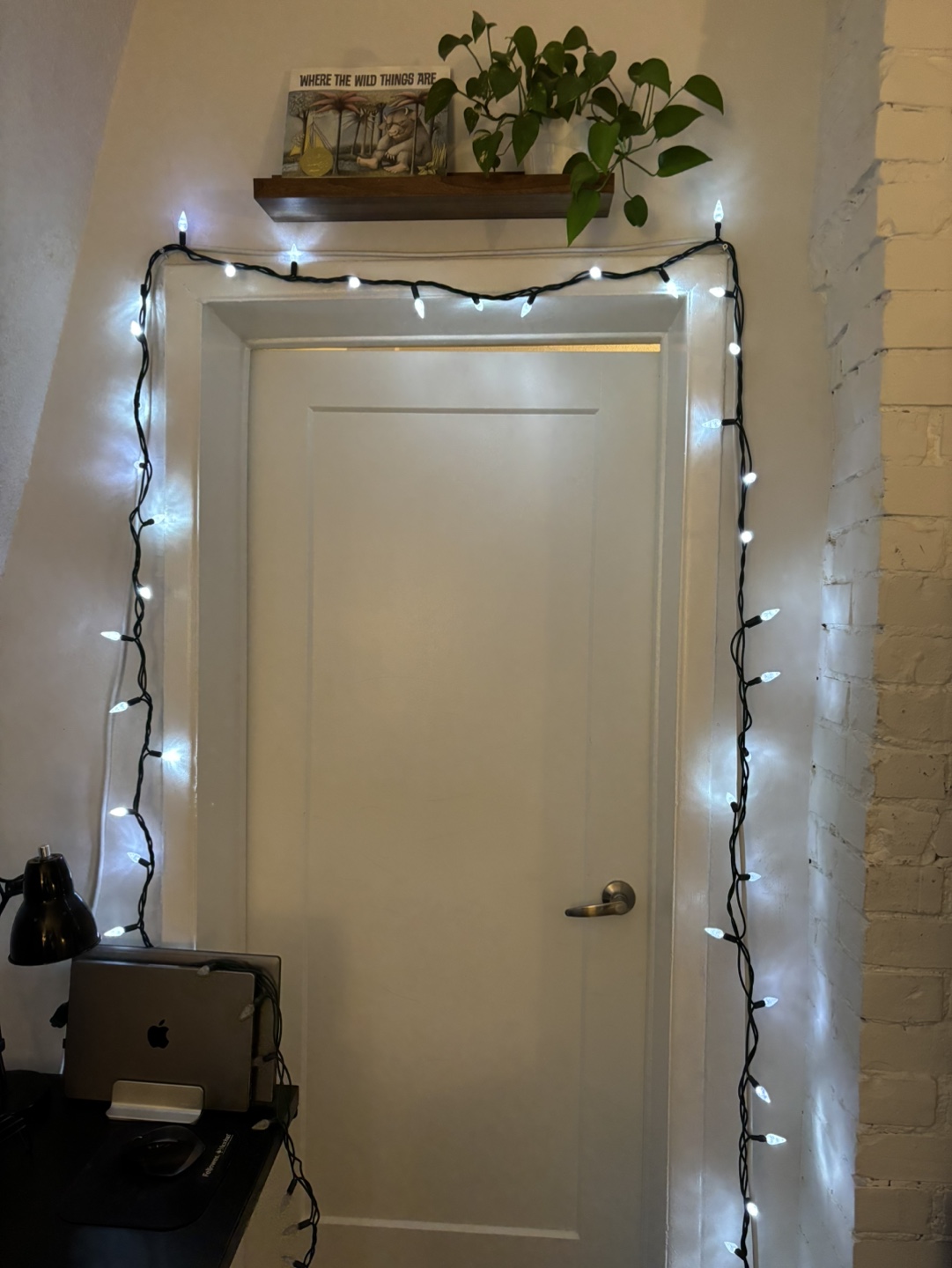 LED Christmas Lights
