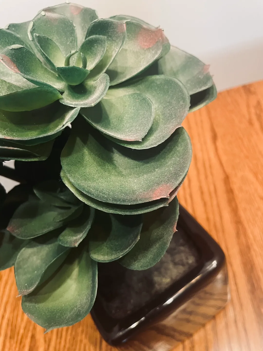 Artificial Succulent Plant in Black Pot image indicator(3)