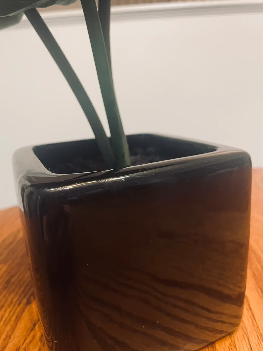 Artificial Succulent Plant in Black Pot image indicator(2)