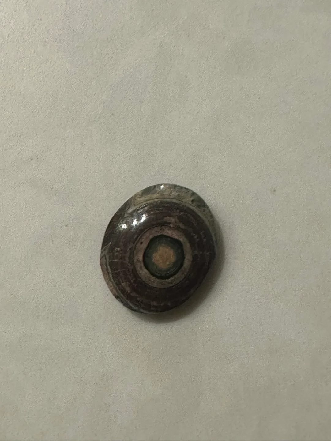 Eye Agate Cabochon Collection thumbnail