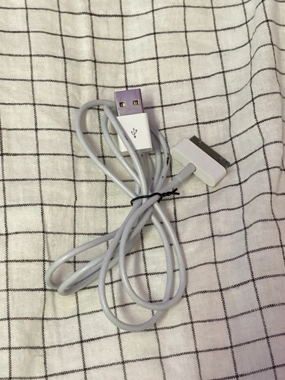 Apple iPod Classic 256GB with Case image indicator(6)