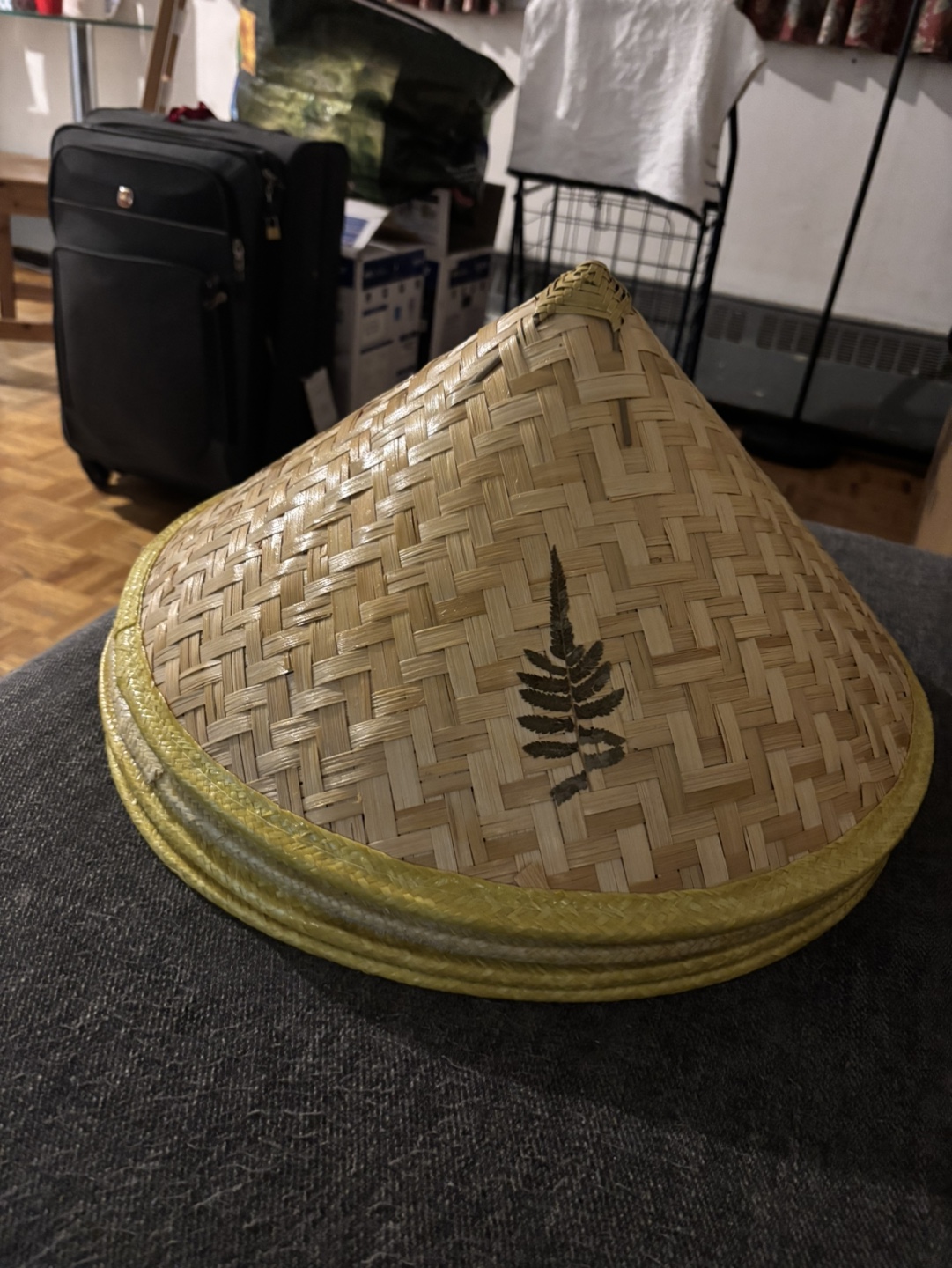 Asian Rice Hats, Vietnam rice paddy hats