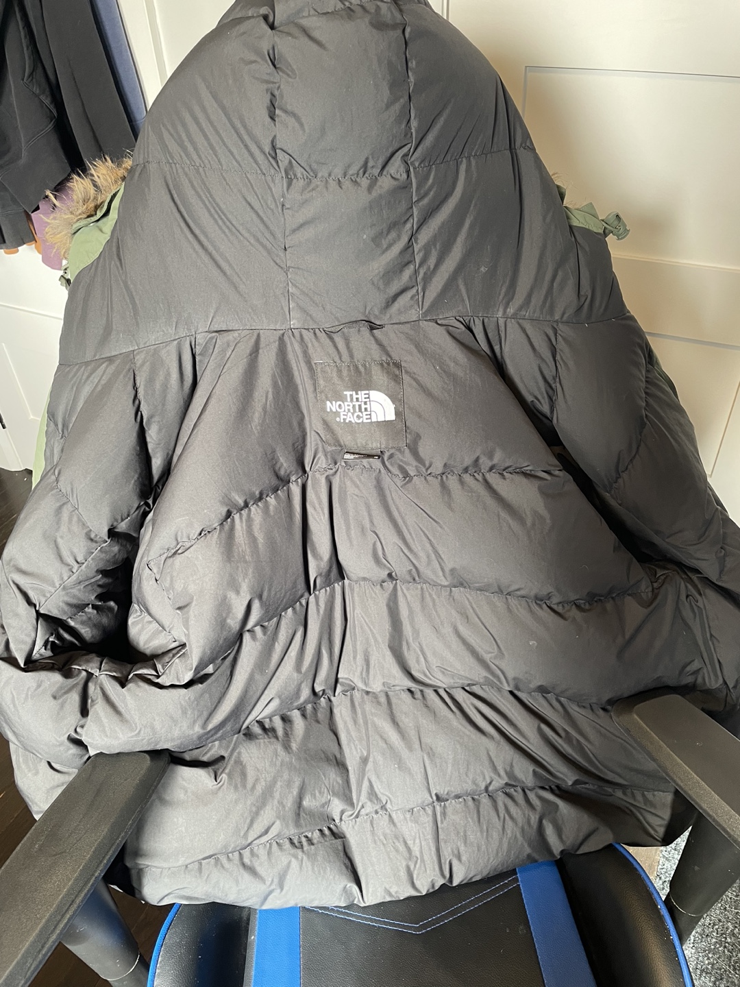 The North Face Mens Mcmurdo 600-down Parka Insulated Jacket - photo 3
