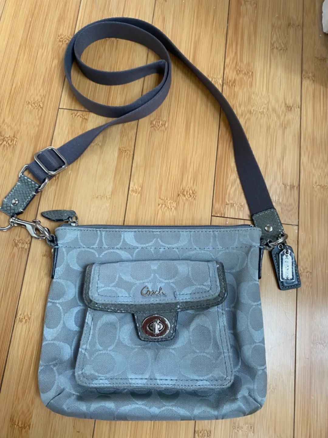 COACH super cute smaller grey crossbody purse image indicator(2)