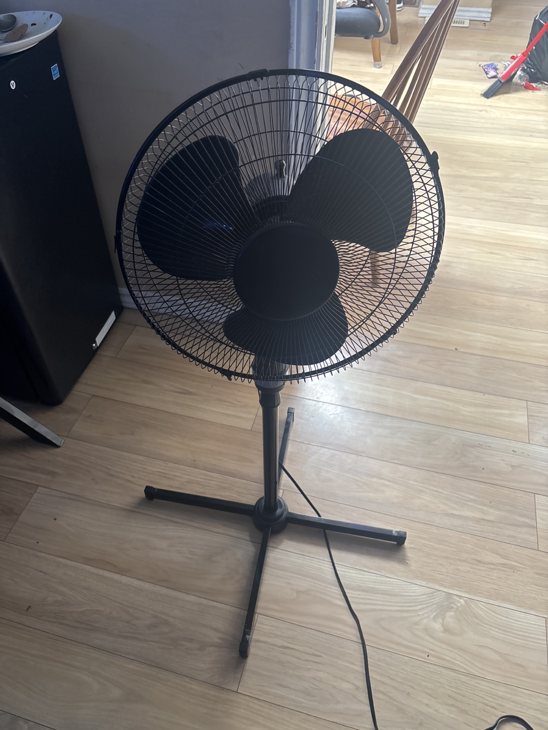 Black Oscillating Stand Fan