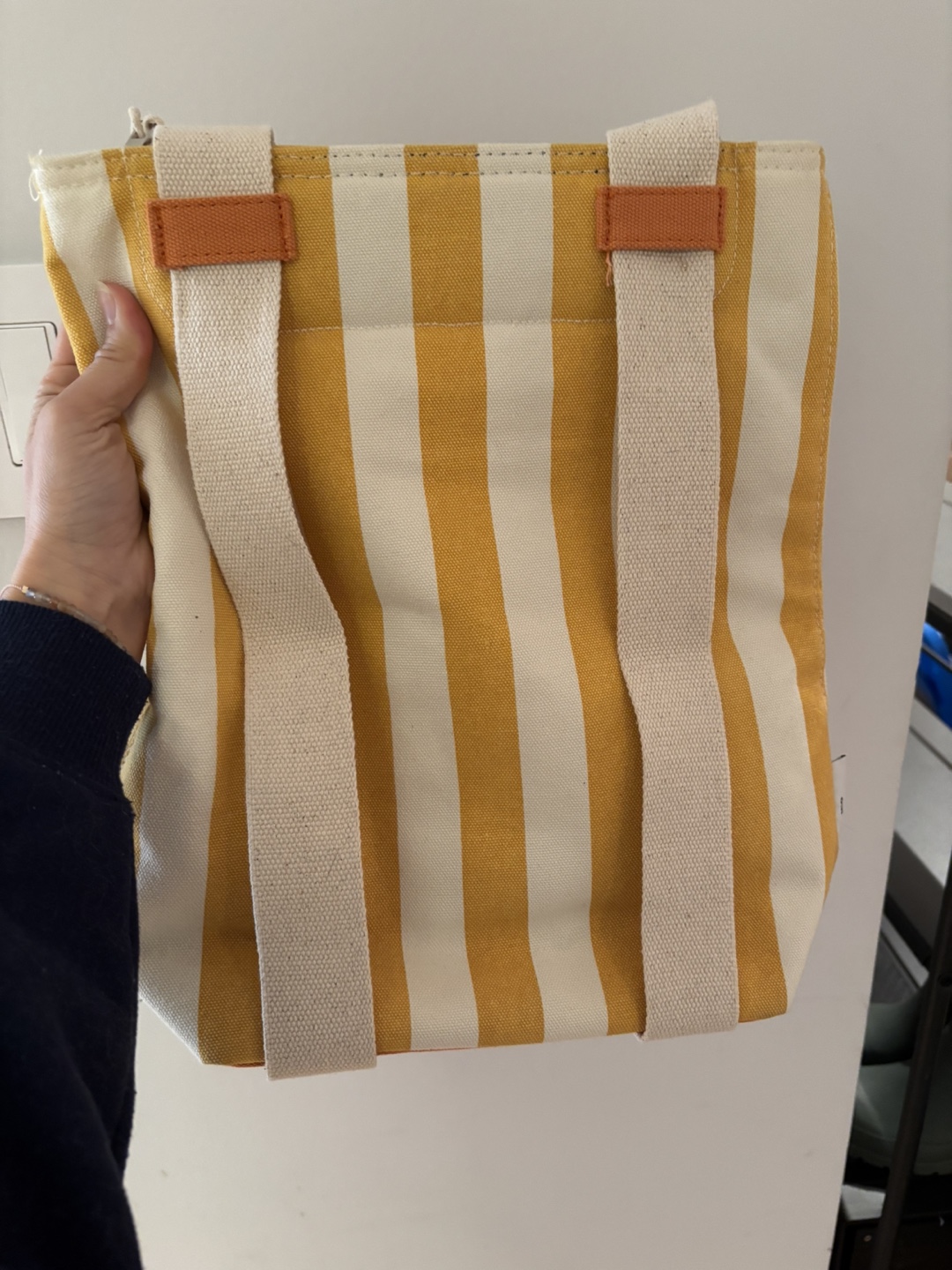 Striped Insulated Food Bag