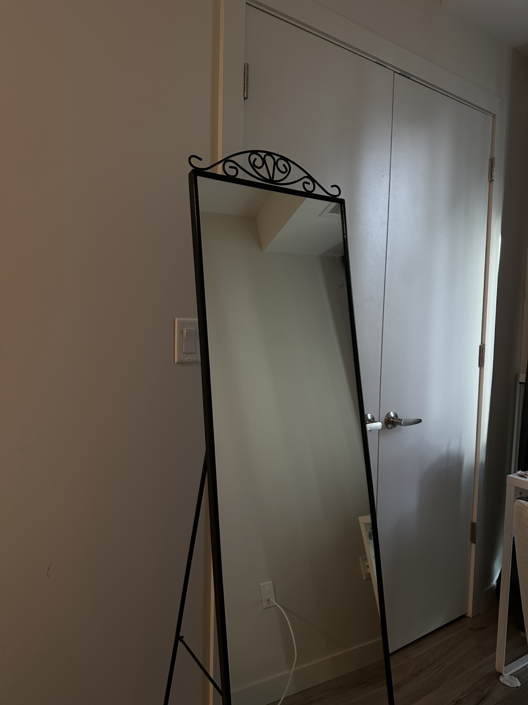 Full Length Floor Mirror with Black Frame - photo 3