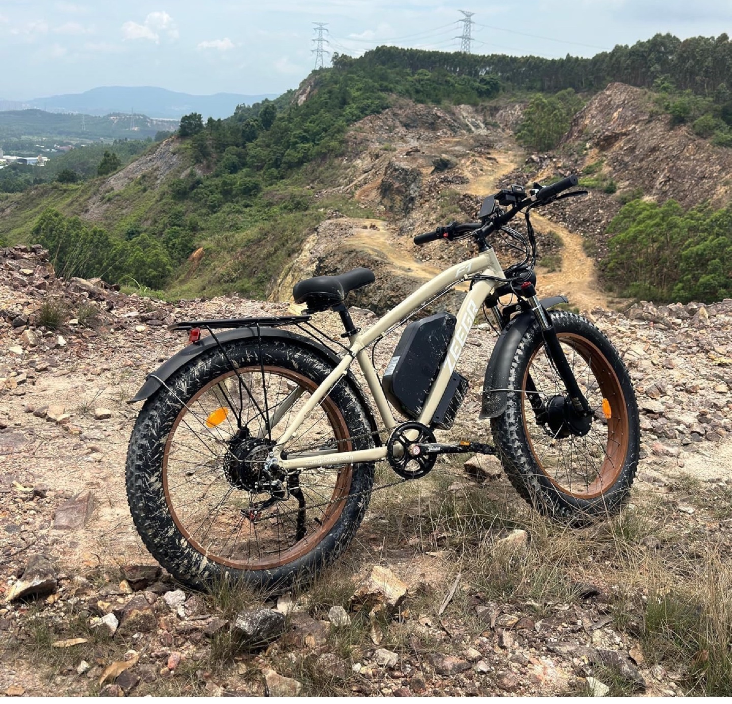 Used Electric Fat Tire Bike