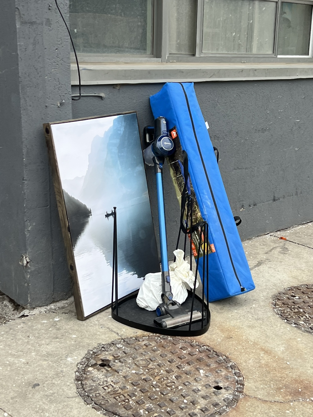 Cordless Vacuum, Canvas Print & Carry Bag