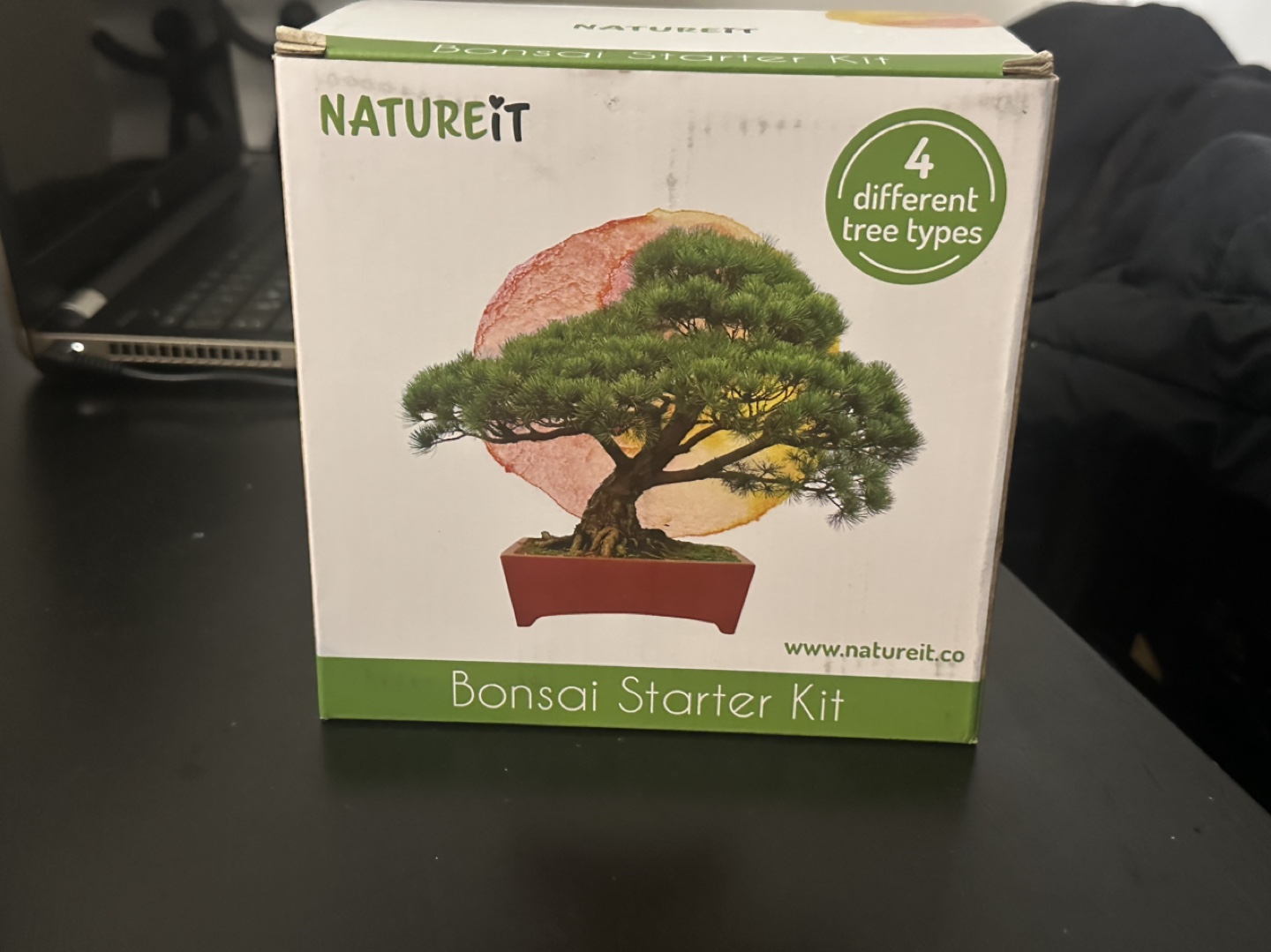 Kitchenware Bundle + Bonsai Kit - photo 2