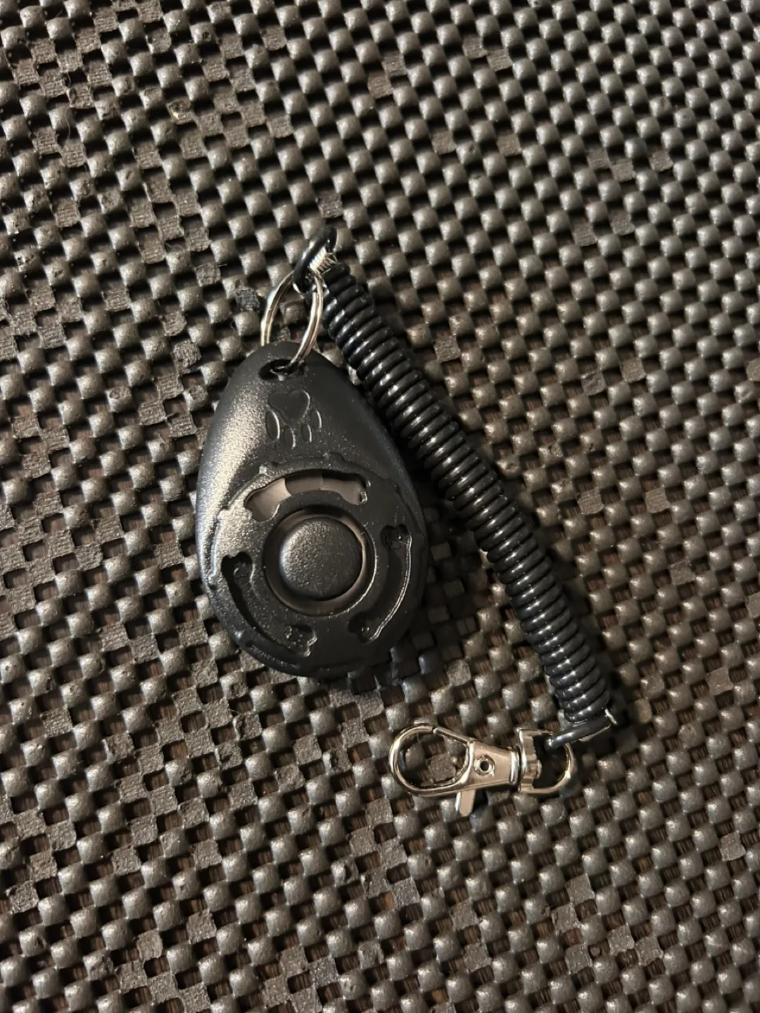 Pet clicker for training image indicator(2)