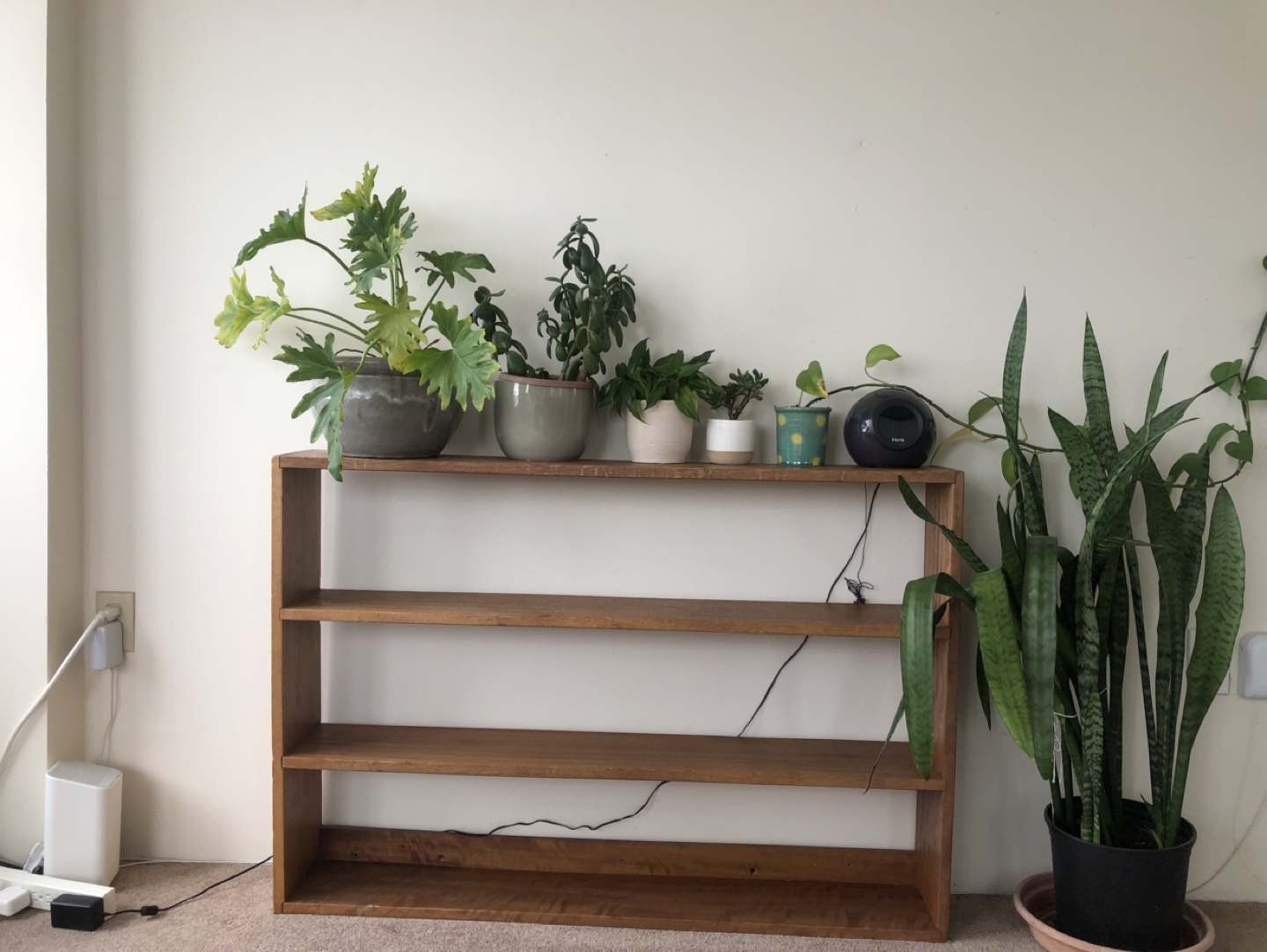 Shelf - photo 2