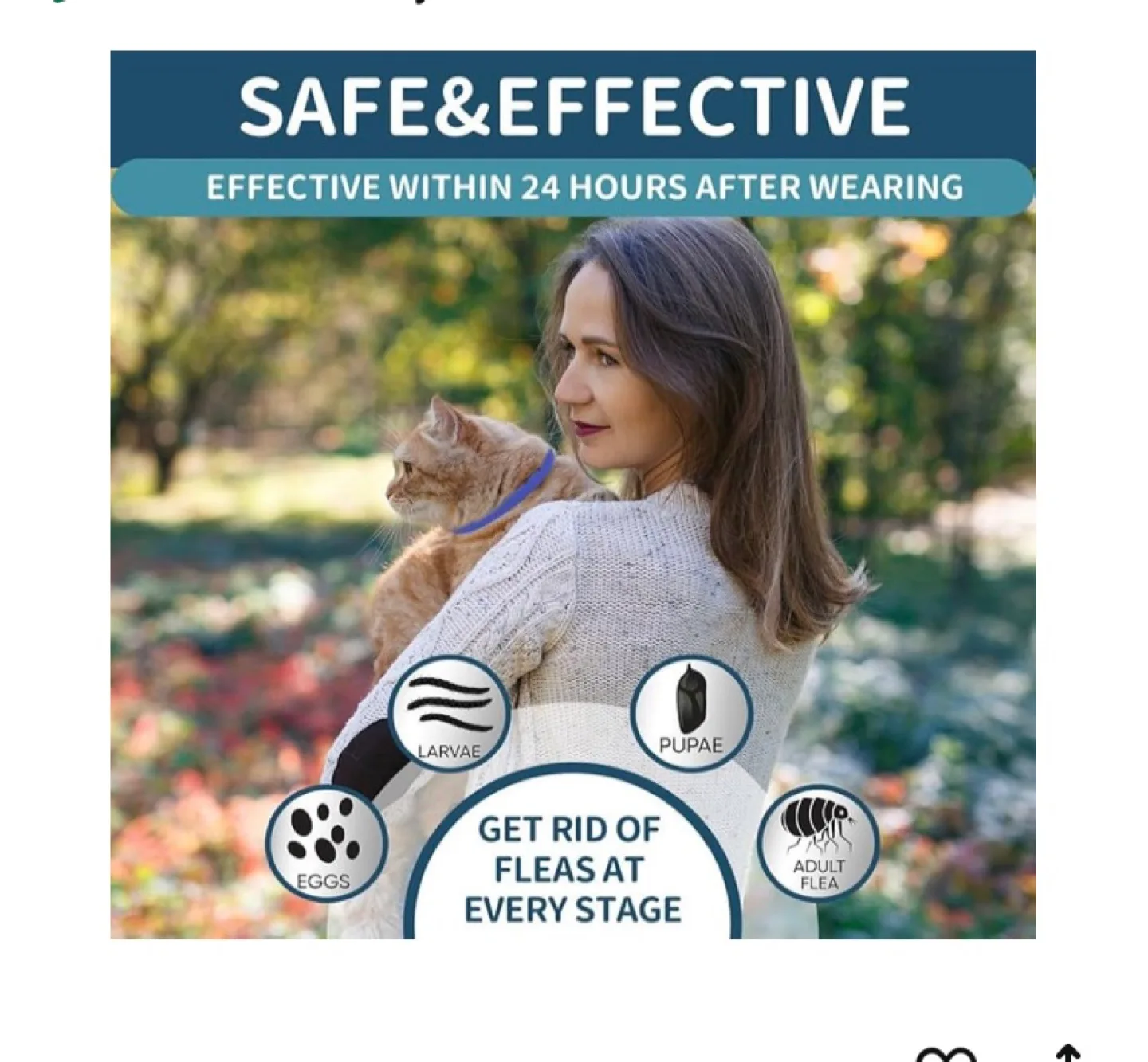 New 4 Pack  Flea & Tick Collars for Cats image indicator(4)